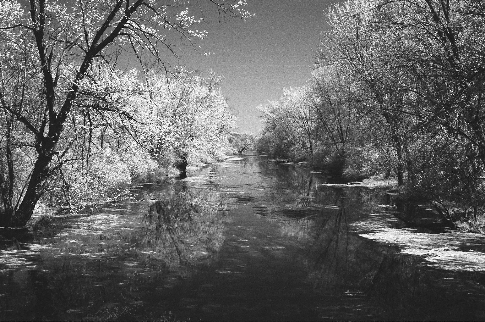 Infrared Film | Central Wisconsin film photographer