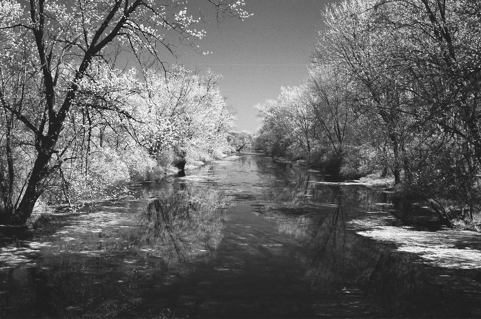 Infrared Film Photography - IR Film How To, Tips & Filters - The