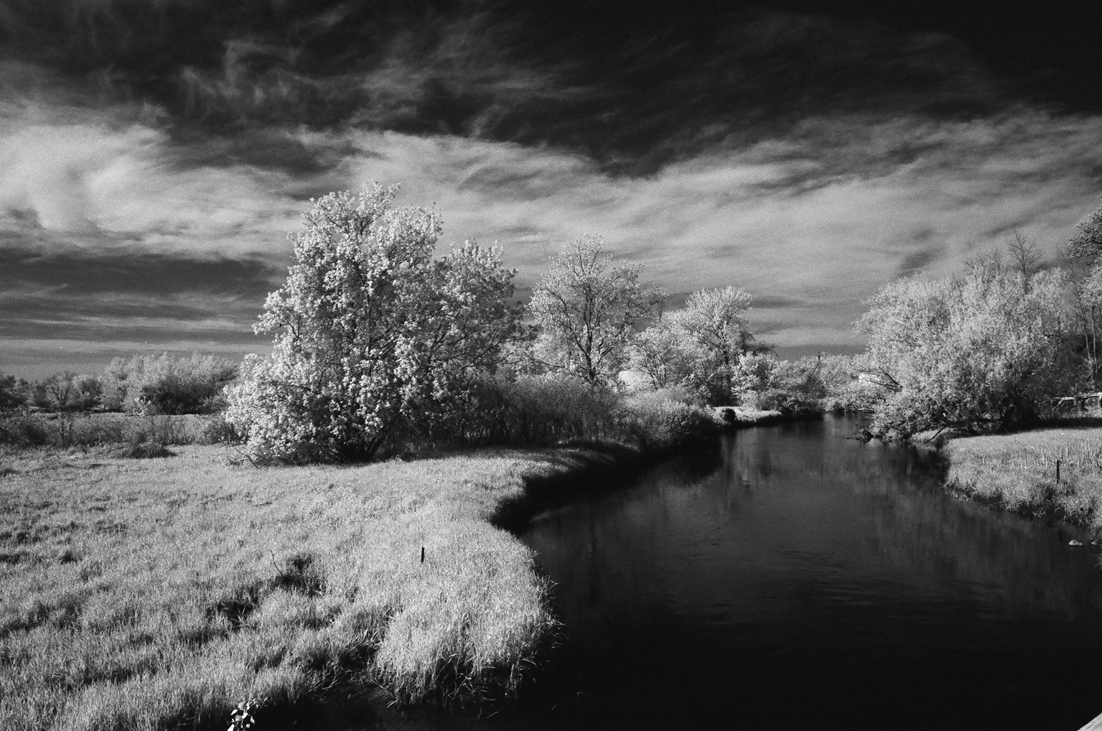 infrared film photography