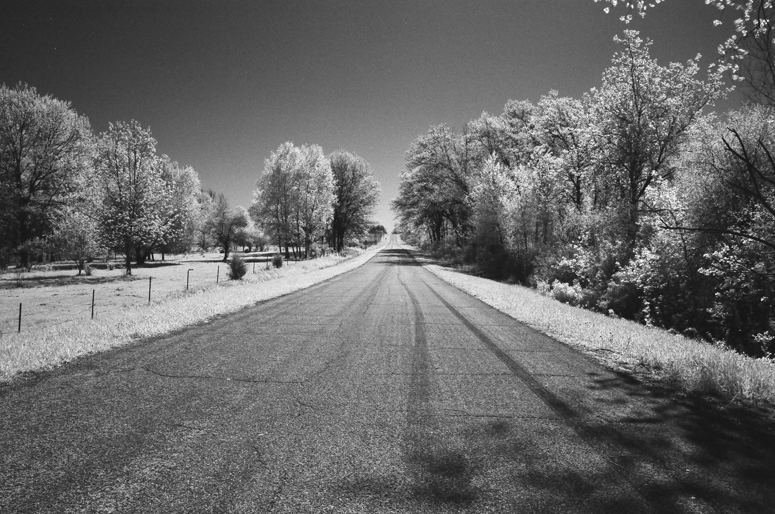Infrared Film | Central Wisconsin film photographer