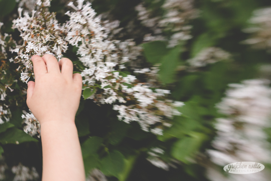 child picking flowers lilacs Lensbaby Composer