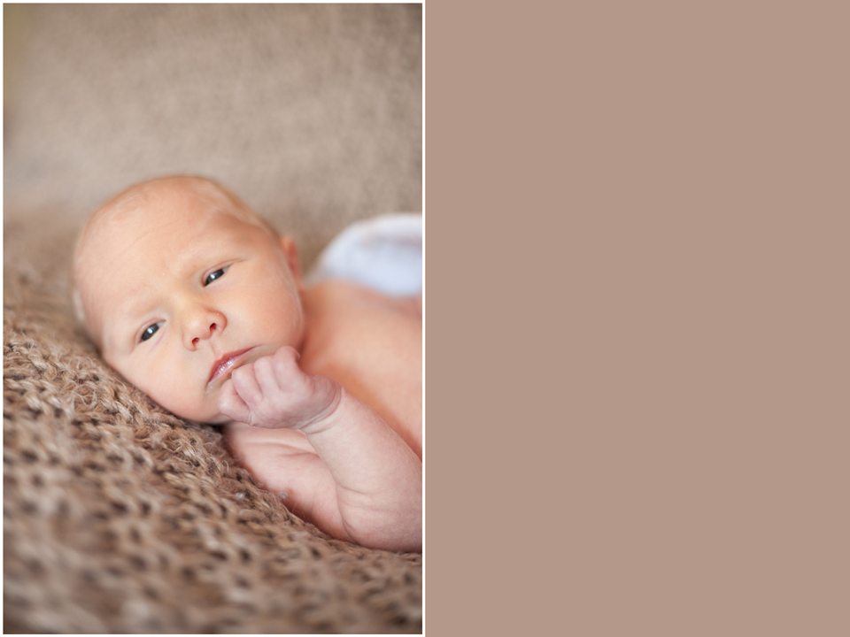 Wisconsin Dells Newborn Photographer 2