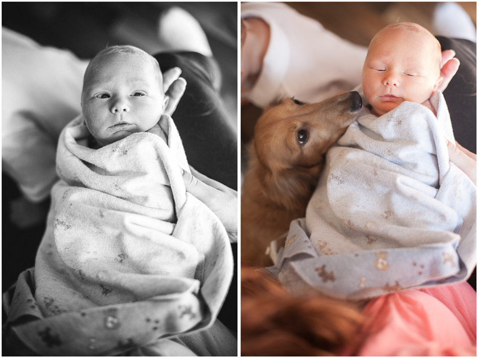 Wisconsin Newborn Photographer 2