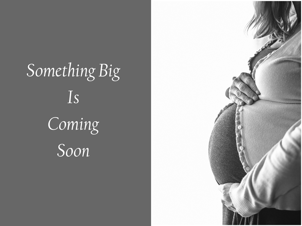 Maternity Photographer Portage WI