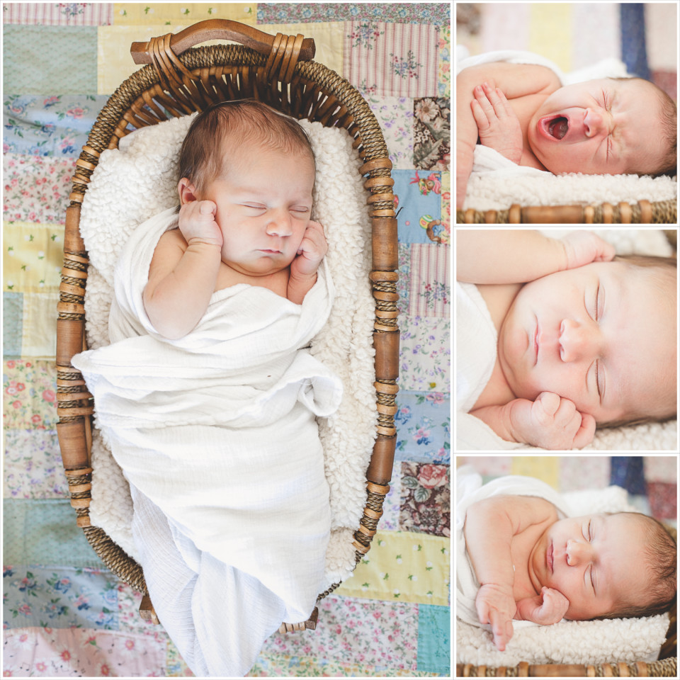 maternity photographer pregnancy newborn photography portage wisconsin dells baraboo