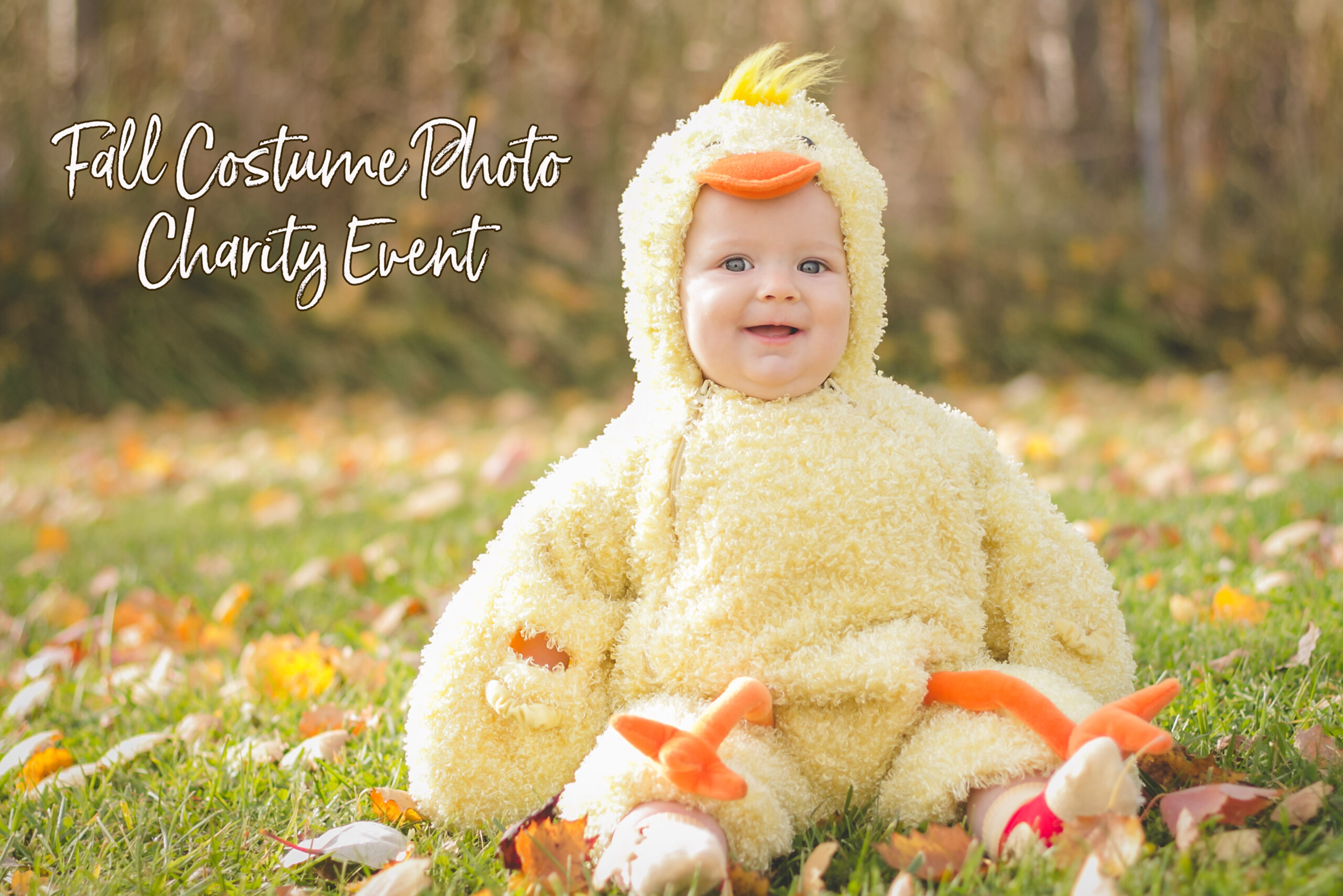 Halloween Costume Chicken